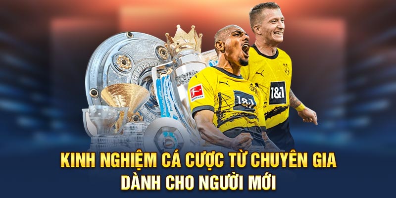 Kinh nghiệm cá độ từ chuyên gia dành cho người mới 